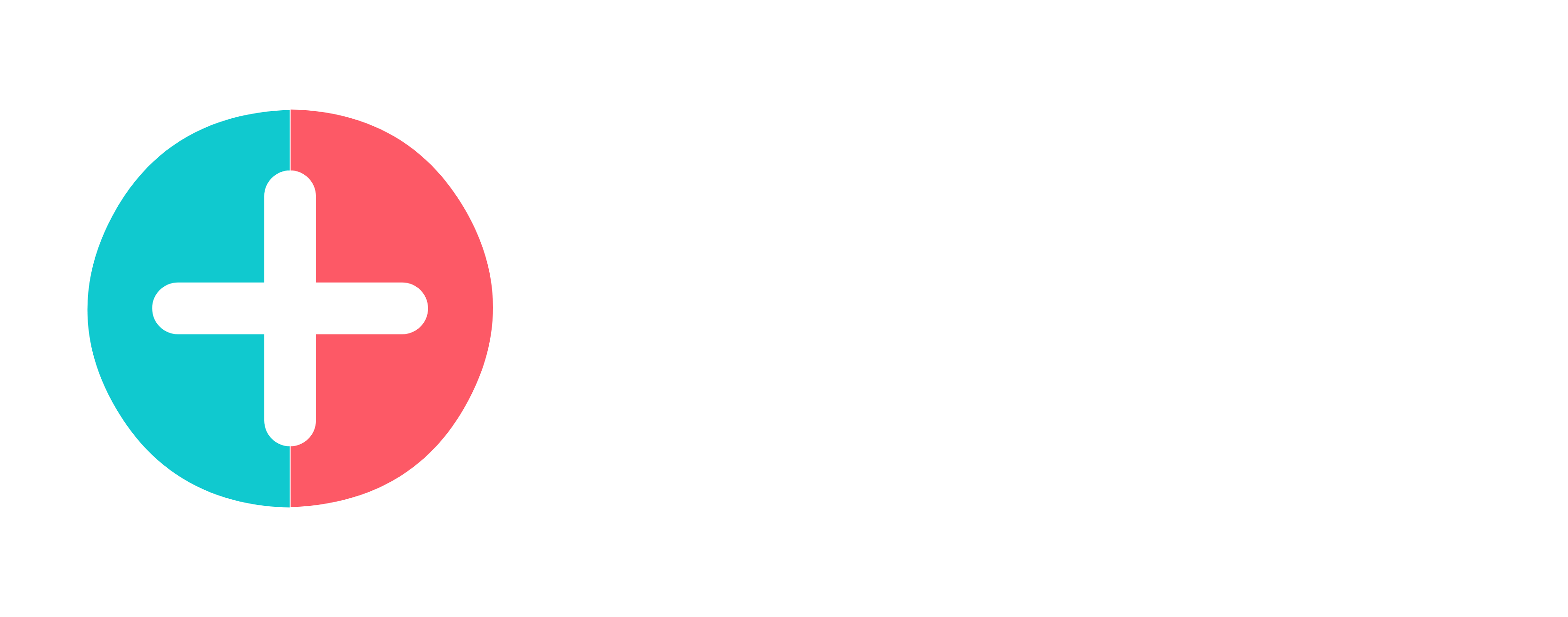 Logo Difyzi